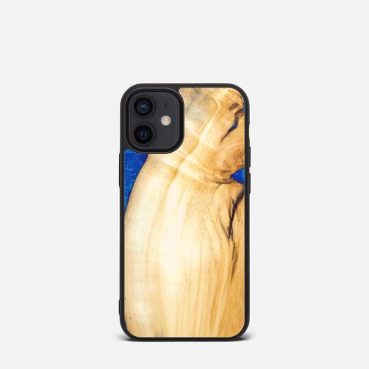 Etui do iPhone 12 Mini Project On1y Evsis