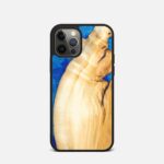Etui do iPhone 12 Pro Project On1y Evsis