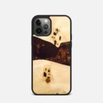Etui do iPhone 12 Pro Project On1y Evzeron